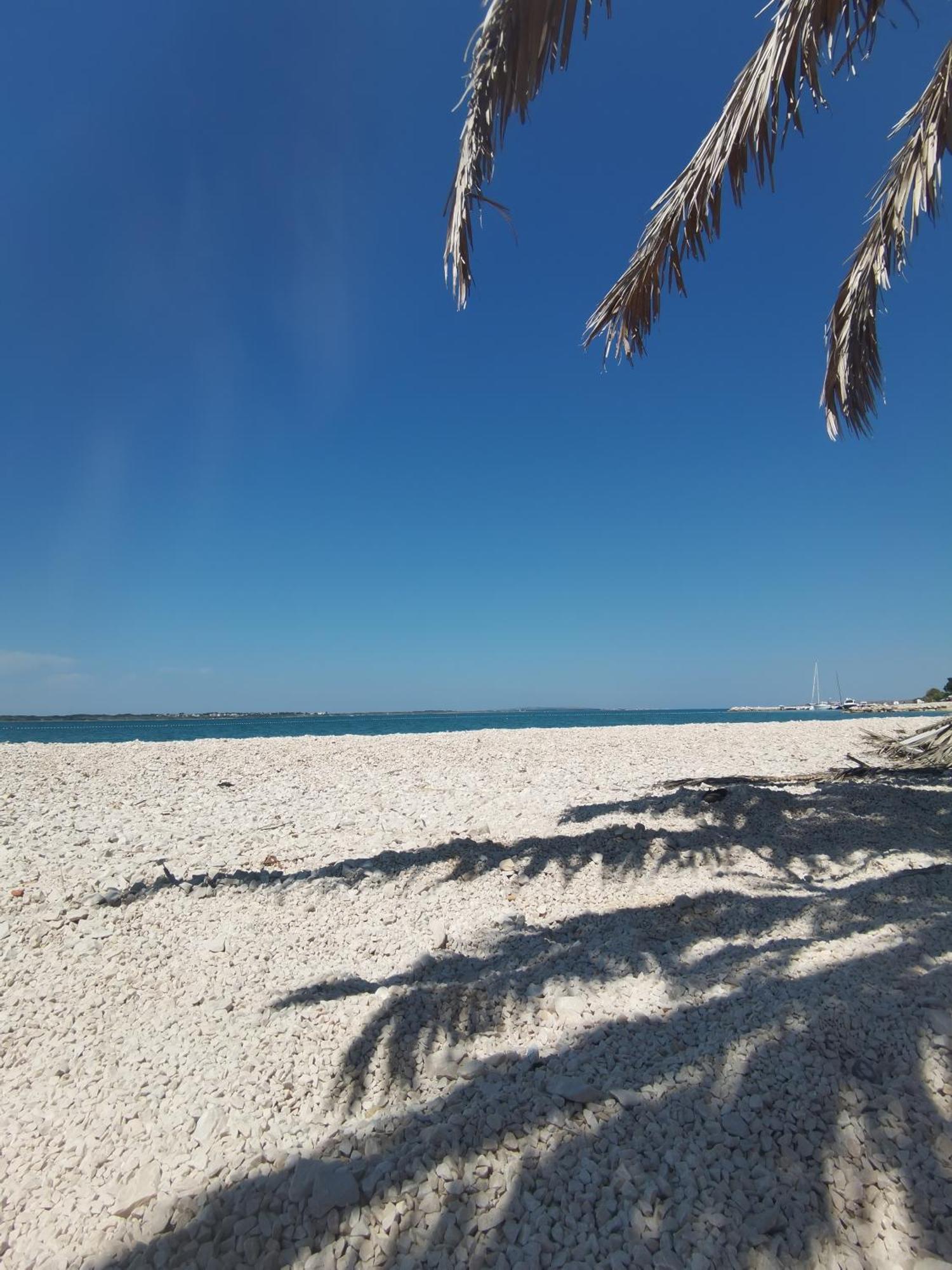 Dikka - Mulo Zadar