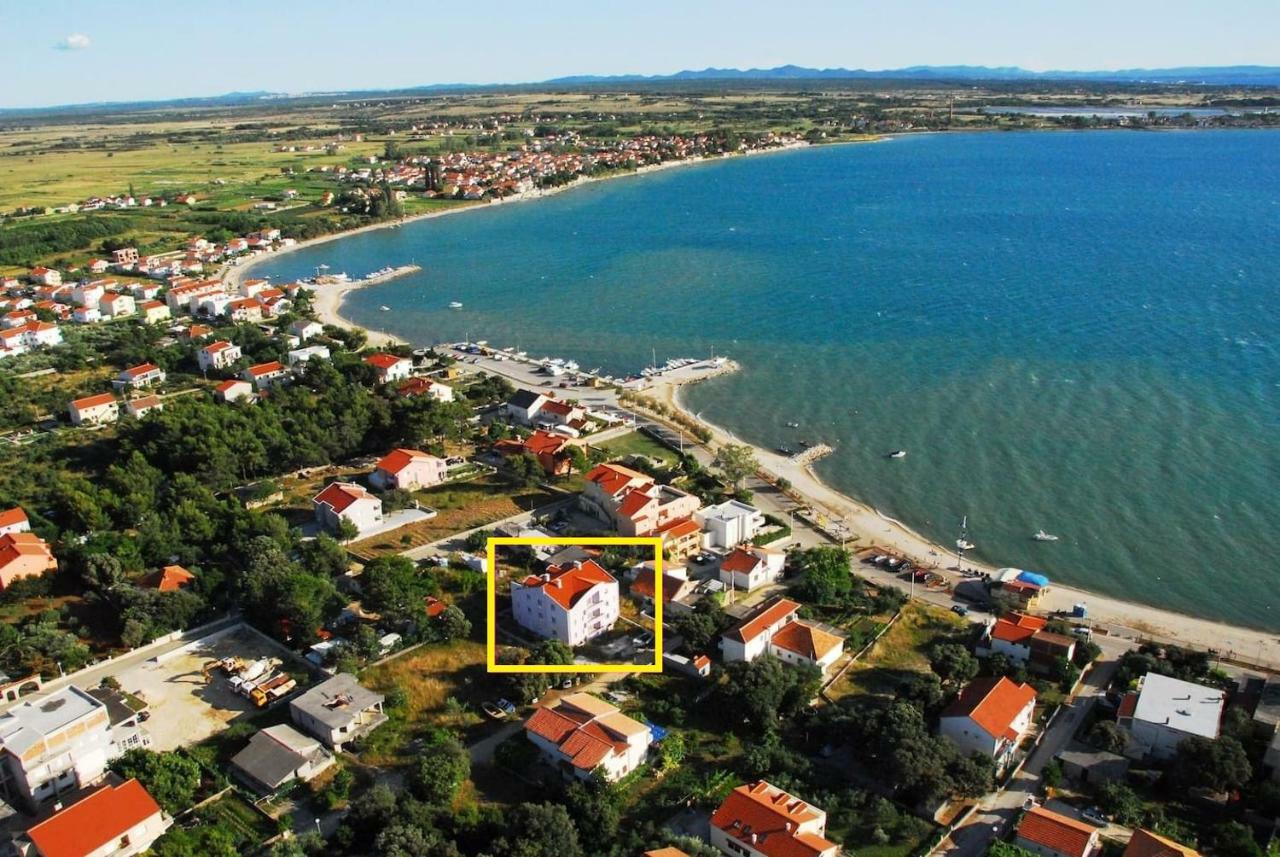 Dikka - Mulo Zadar