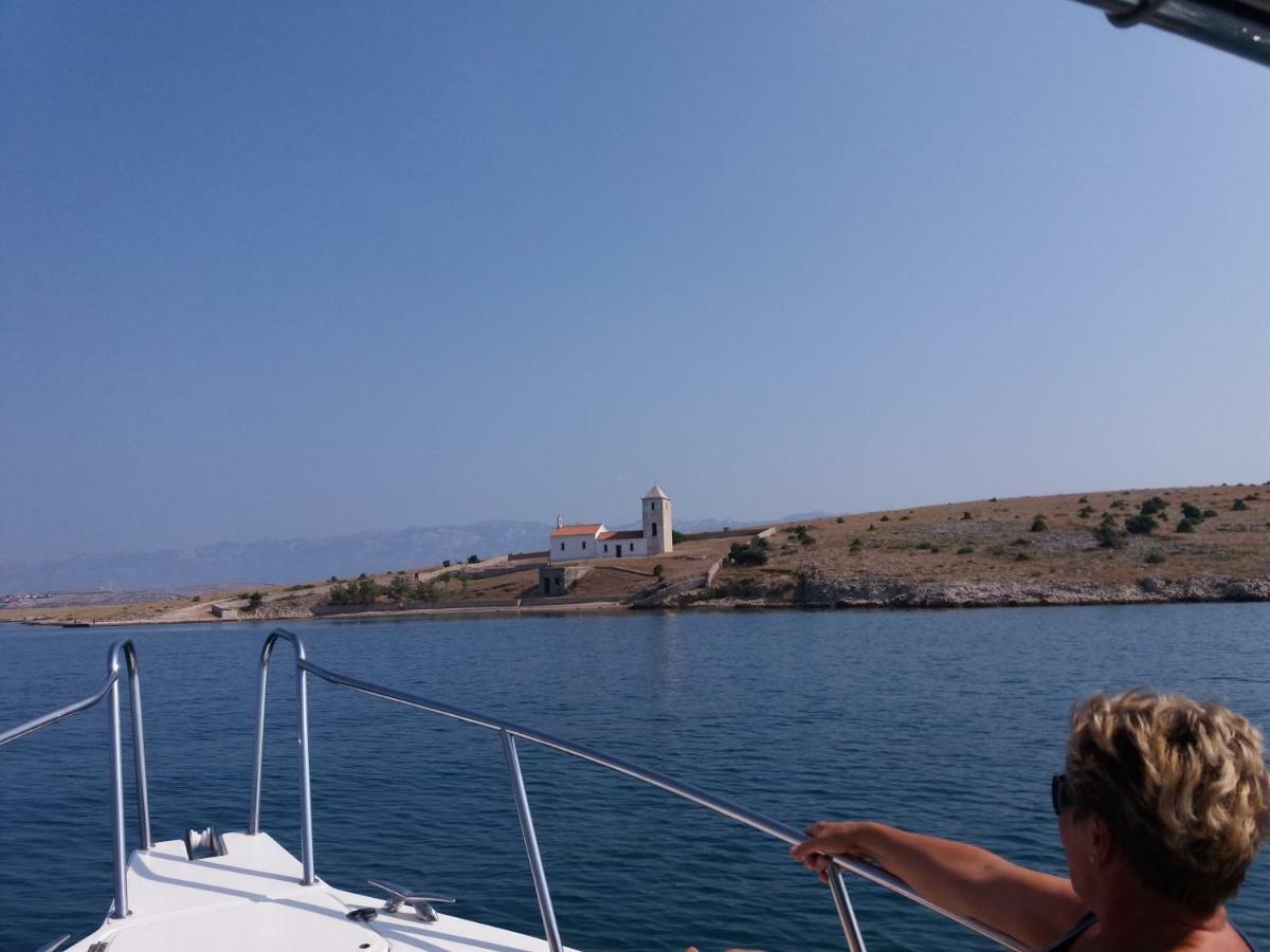 Dikka - Mulo Zadar Vrsi