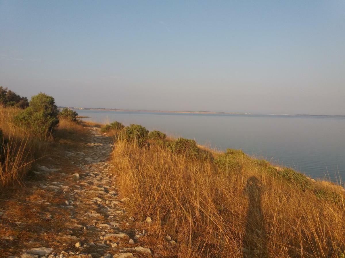 Dikka - Mulo Zadar *