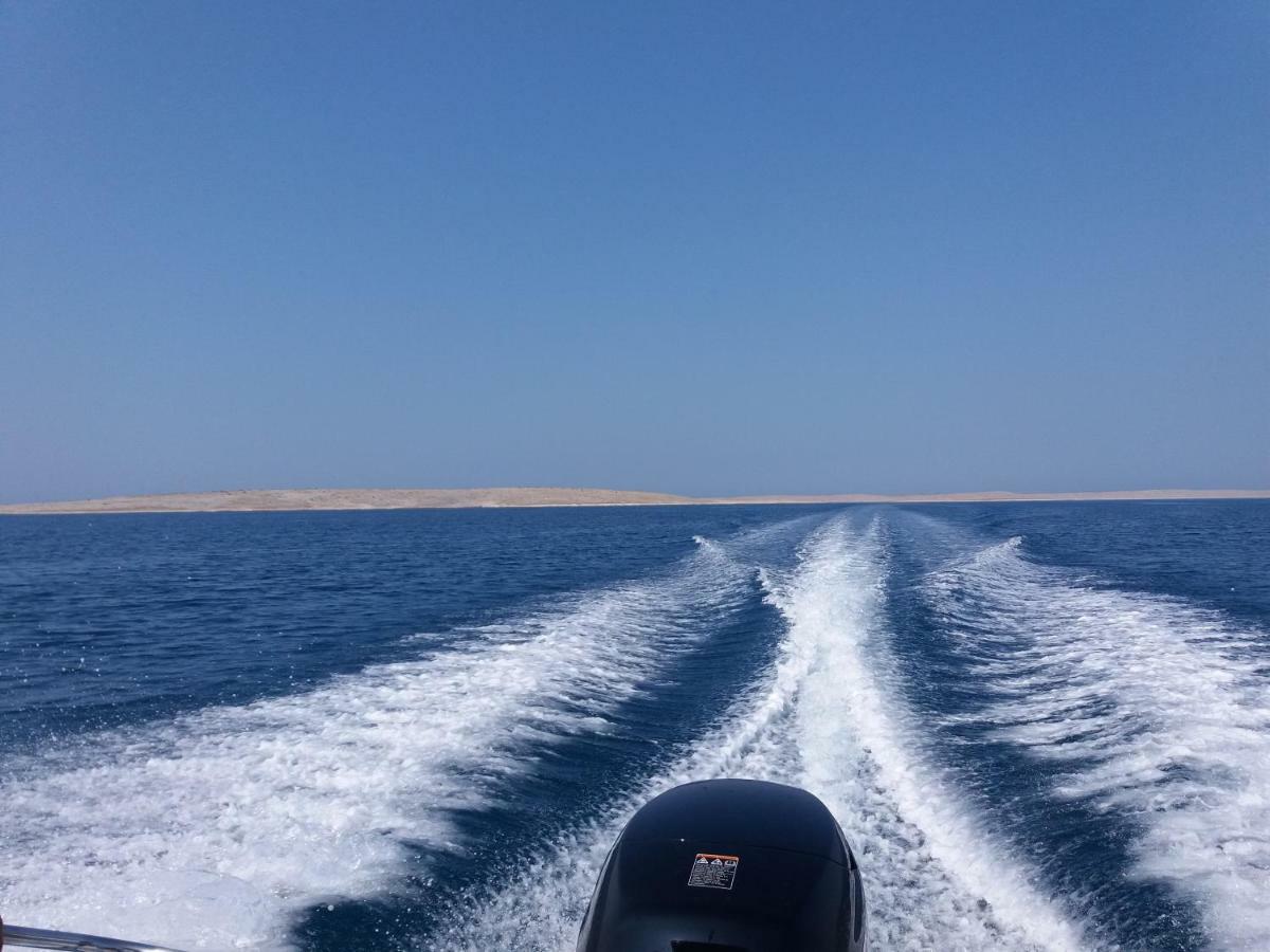 Dikka - Mulo Zadar Vrsi